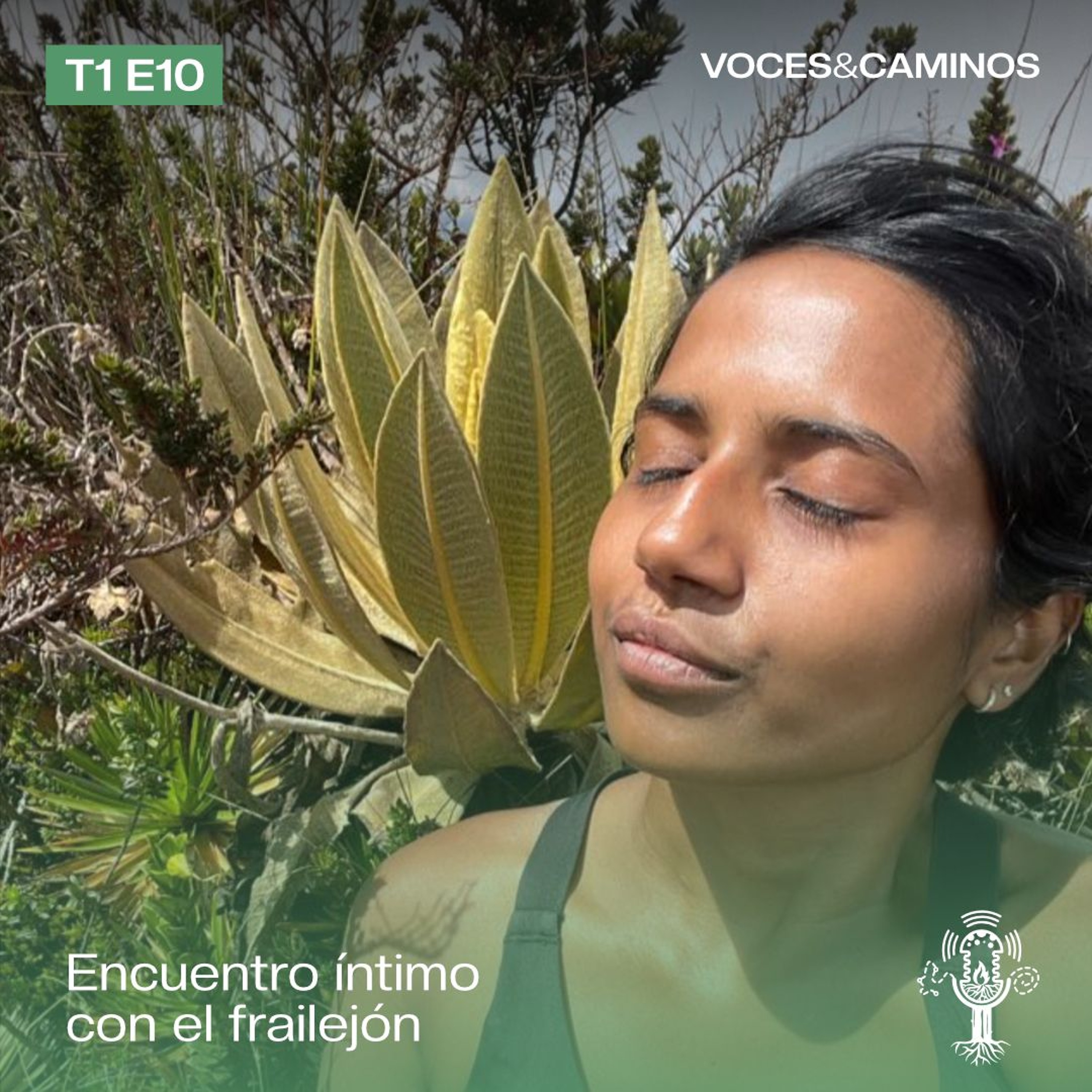 Voces y Caminos