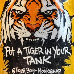 Tiger Boy