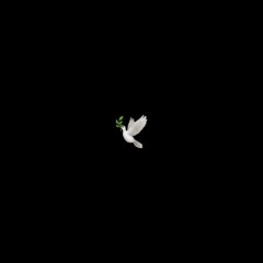 The mob w/ ThaNix 🕊️