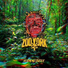 ZOO YORK 2021 - HJEMMEZNEKK
