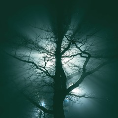 MEMENTO   MORI