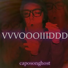 VVVOOOIIIDDD