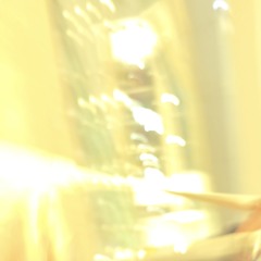 230201-cricket elegy