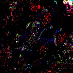 sheknosheknoshekno {nxtxly}