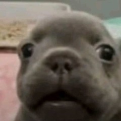 DUBAI (MAQUETA) [DEMBOW]