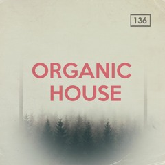 Bingoshakerz - Organic House