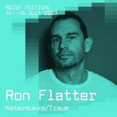 Noisy Festival Hamburg 2023 - Ron Flatter