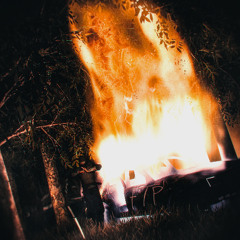 HELL LET LOOSE (Prodby.@purpdapoet)