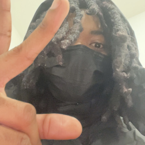 *distractions* (ynx)