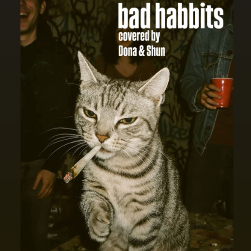 Bad Habbits covered by dona & Shun