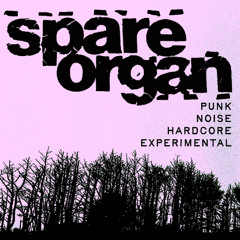 KZYX spareorgan Radio Show 010.5