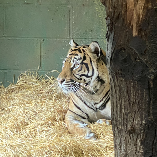 erika lundmoen — yad-poison {instrumental + sped up but slowed}.mp3