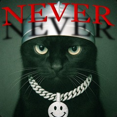 Never (prod. Chris Smiley)