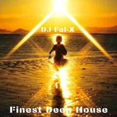 Finest Deep House Mix DJ Fel-X