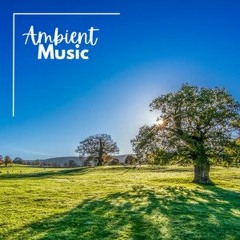 4Site-Ambient