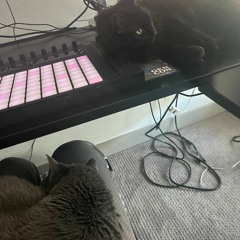 CatSpeed 130-160BPM FluxDay3