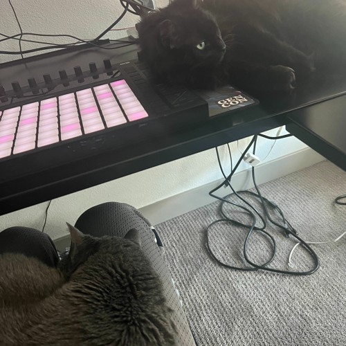 CatSpeed 130-160BPM FluxDay3