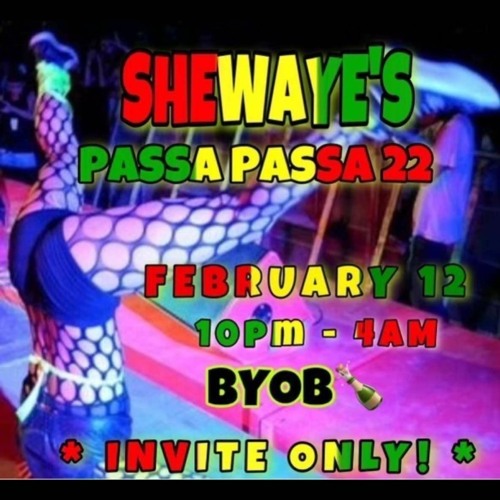 Shewaye's Passa Passa Party Ft Dj Shellz