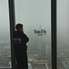 (EXTRA) Too Fly