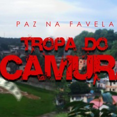 MTG - MC RODRIGO DO CN E MC MANEIRINHO ((DJ WS DO CAMURA))