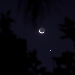 A Shadow's Lament by Pianza | Piano Cover