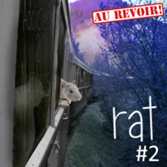 Rat #2