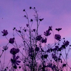 Ranjha(Slowed+Reverb) -