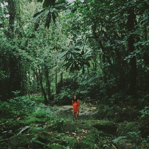 Calm Roots 19 w Alex Rita