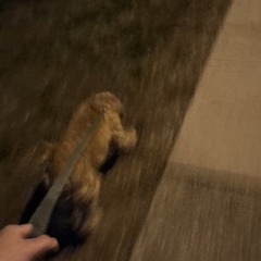 Brown Jeep (mastered).wav