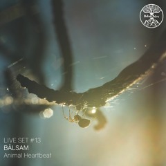 Nature Tales Live Set #13: Bålsam - Animal Heartbeat