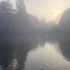 下校