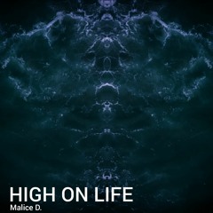 High On Life - Malice D.