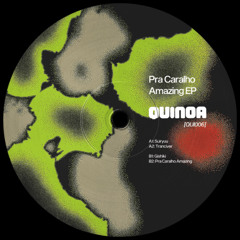 A1. Que Sakamoto & NT ─ Suiryuu [QUI006]