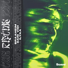 Braaheim, Dani Vidi & ILYAA - Riptide