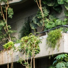 NETFLOW - SCHWEFELSÄURE