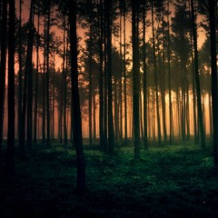 Eternal Darkness