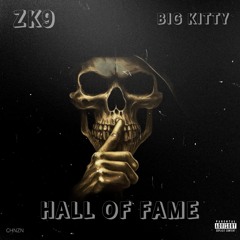 HALL OF FAME🌟🌍+ BIG KITTY