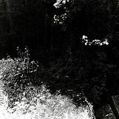 Let Go.. (prod. Barnacle Boi)