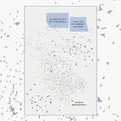 Susan Bernofsky's Clairvoyant of the Small