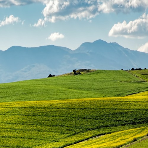 The softness of the cloudy field