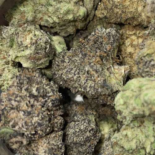 New Strain