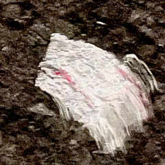 Unæa