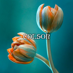 Colson - U98 [MY02] (FREE DOWNLOAD)