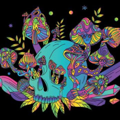 Tech Me To Your House