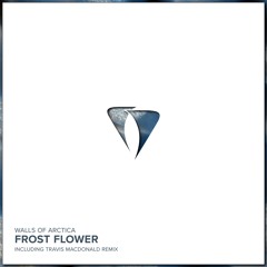 Walls Of Arctica - Frost Flower (Original Mix)