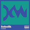 Campout Mix Series: Sobolik DJ mix artwork - Electronic music tracklist cover image