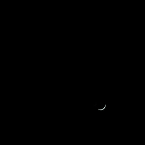 moon song - phoebe bridgers