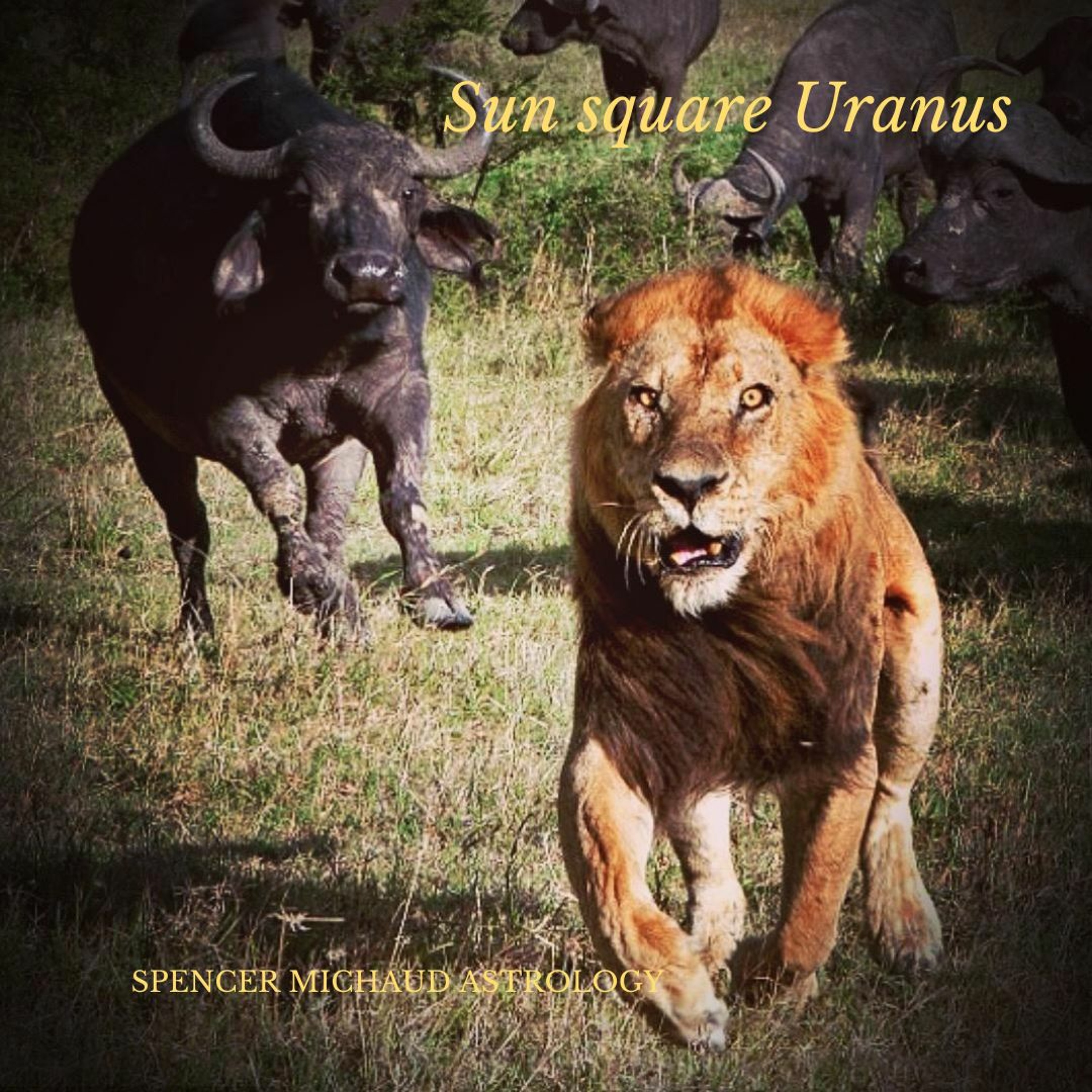 Spencer Michaud Astrology