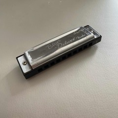 Soaking Up The Moisture (Harmonica Practice)