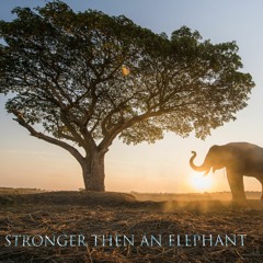 stronger Then An Elephant